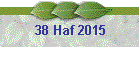 38 Haf 2015