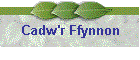 Cadw'r Ffynnon
