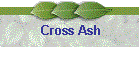 Cross Ash