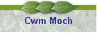 Cwm Moch