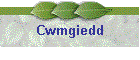 Cwmgiedd
