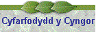 Cyfarfodydd y Cyngor