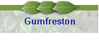Gumfreston