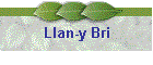 Llan-y Bri