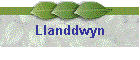 Llanddwyn
