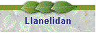 Llanelidan