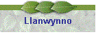 Llanwynno