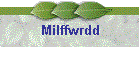 Milffwrdd