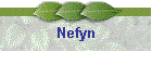 Nefyn