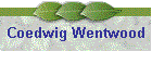 Coedwig Wentwood