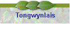 Tongwynlais