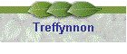 Treffynnon